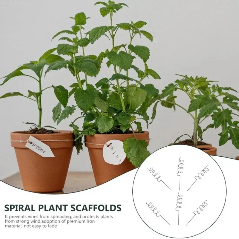 Plant Support Stake - つる性植物サポートステークスタンド、つる性植物ラック、トマトスパイラルステーク、耐久性のある盆栽用金属スパイラルトマトステーク、ガーデン用
