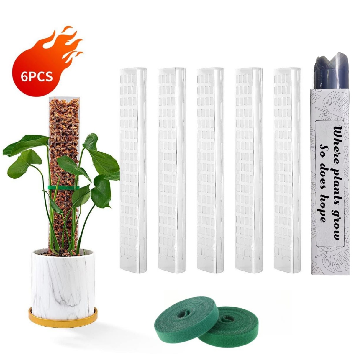 Plant Support Stake - 苔ポール植物植物サポートプラスチック透明再利用可能な屋内鉢植えスティック庭のために上向きに成長するトレインクリーパー植物