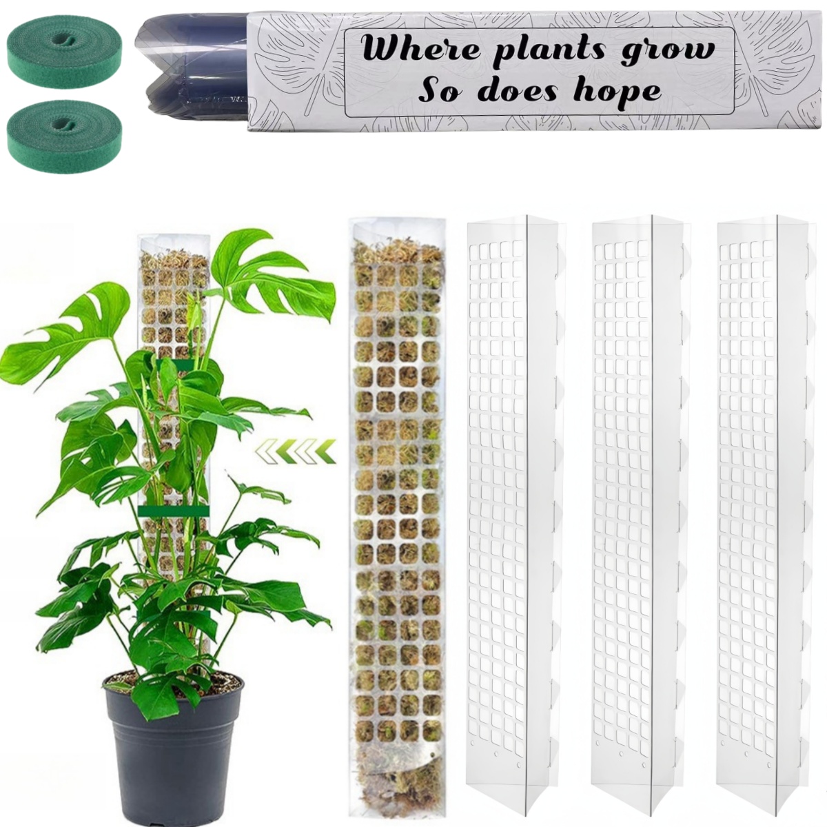 Plant Support Stake - 苔ポールプラスチック植物スタンド屋内登山植物ガーディアン家庭教師ポット苔スティック植物の成長のためのガーデンサポートアクセサリー