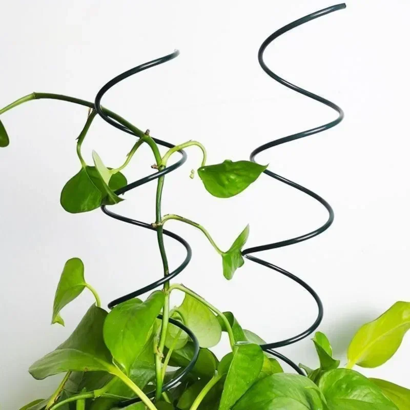 つる性植物サポートステークスタンド、つる性植物ラック、トマト - Plant Support Stake のレビューと価格