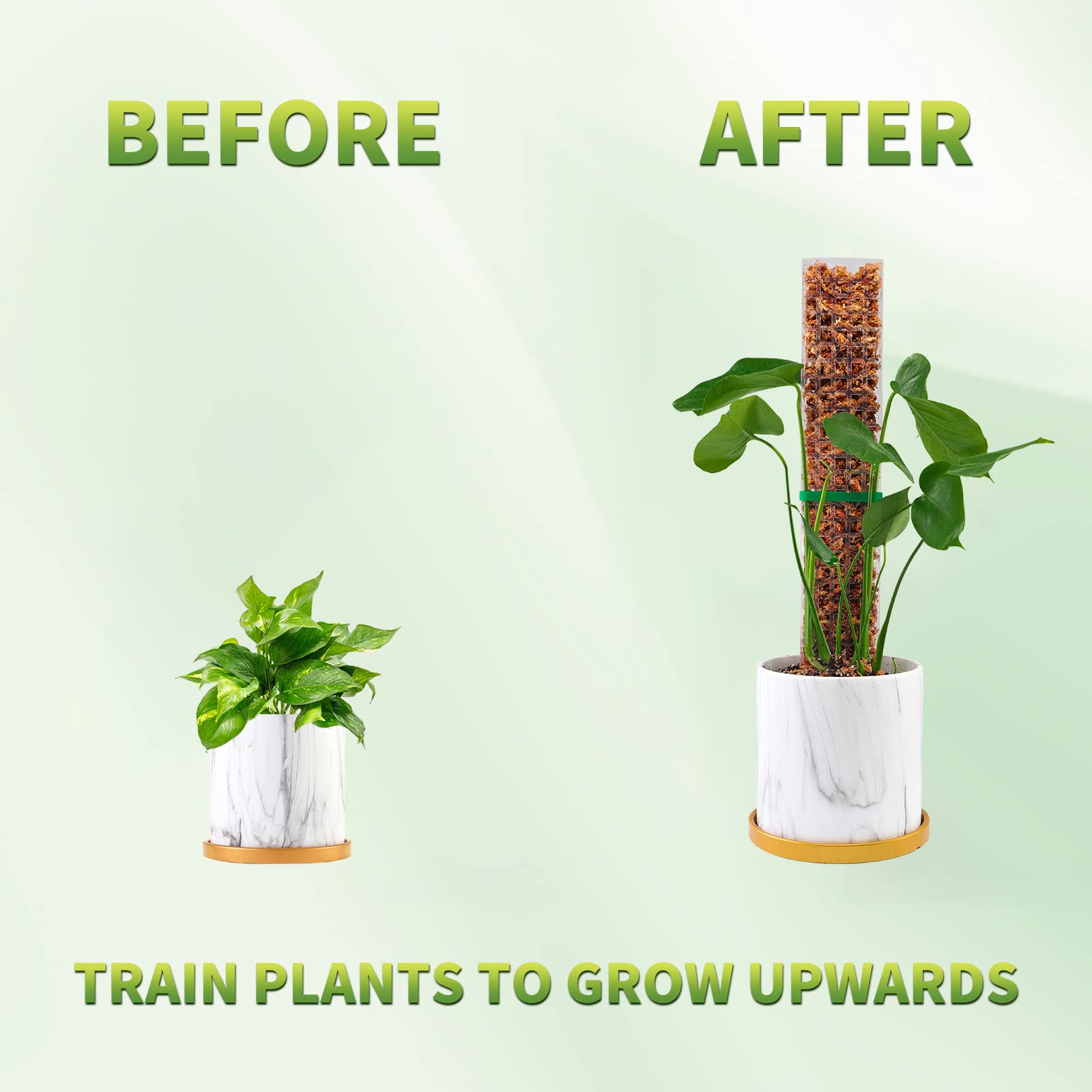 苔ポール植物植物サポートプラスチック透明再利用可能な屋内鉢植 - Plant Support Stake のレビューと価格