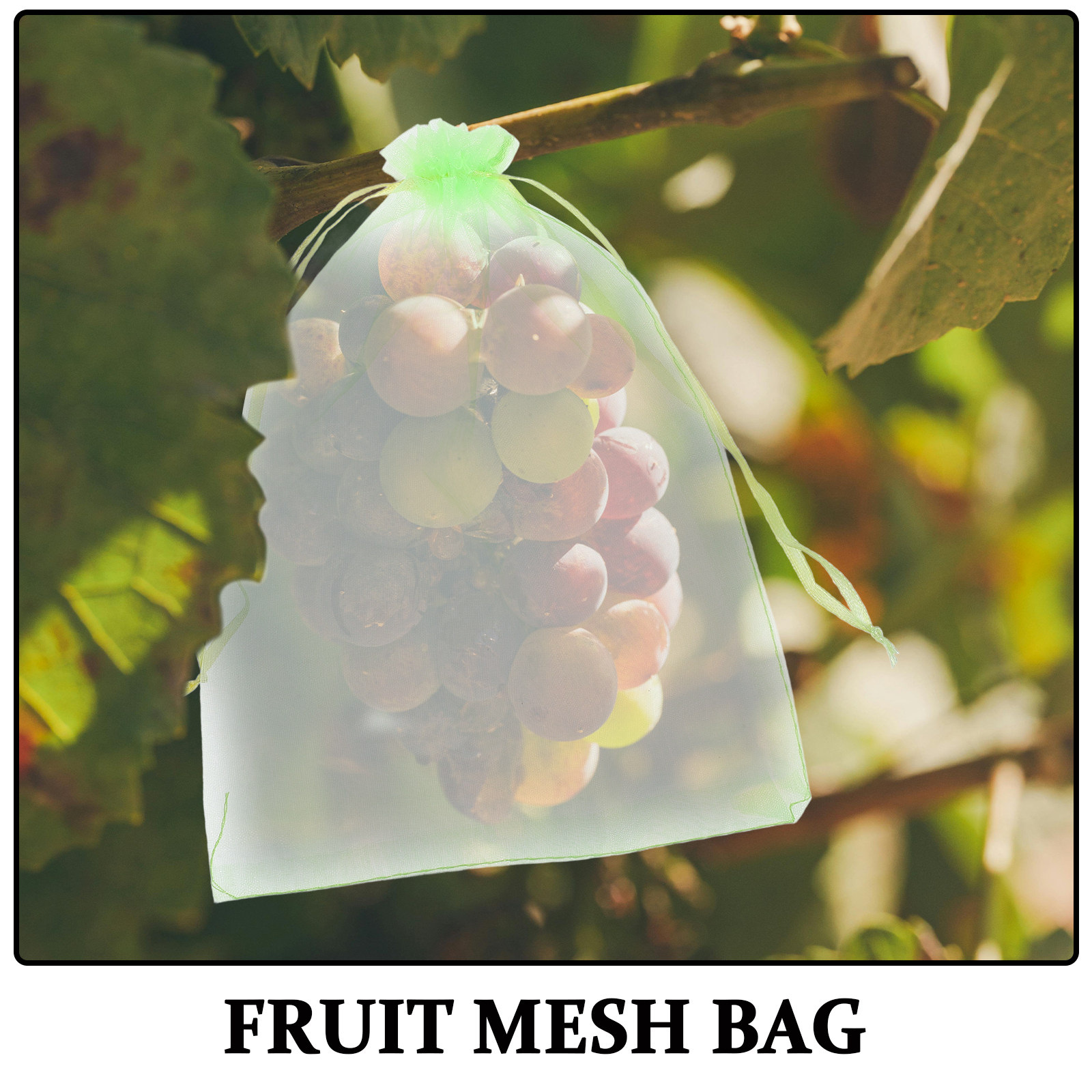 果樹用保護袋30枚セット。サイズは15x20cm。緑色のメッ - Garden Netting Cover のレビューと価格