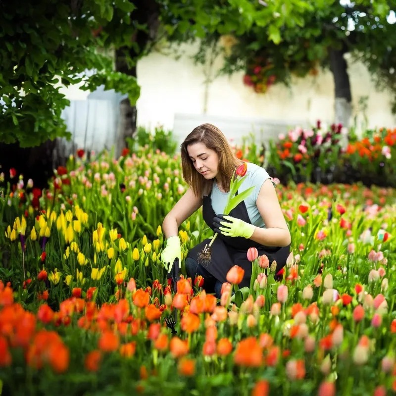 2in1ガーデンレーキ手動種子草根除去ツールプーラーシャベル - Gardening Tools Shovel のレビューと価格