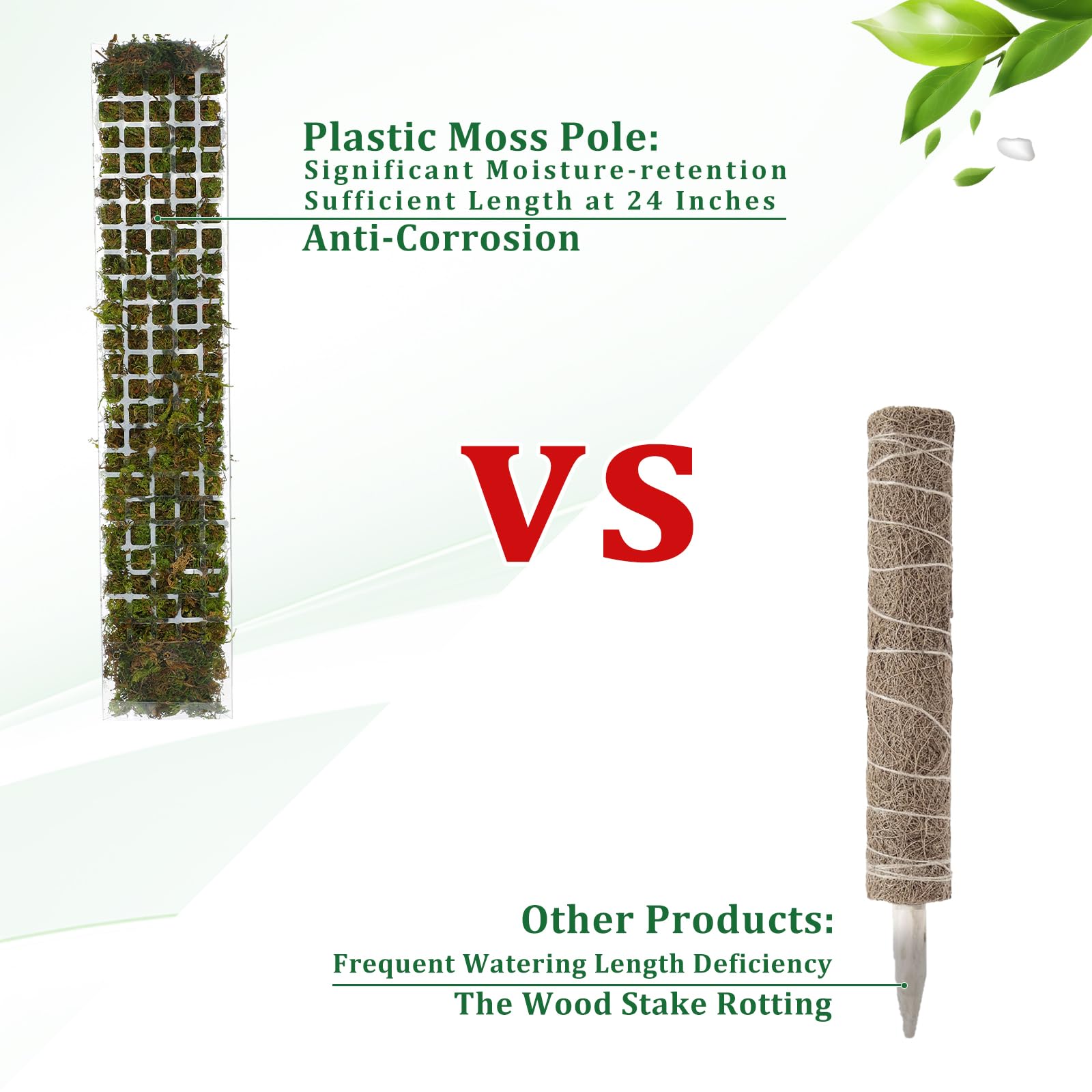 苔ポールプラスチック植物スタンド屋内登山植物ガーディアン家庭 - Plant Support Stake のレビューと価格