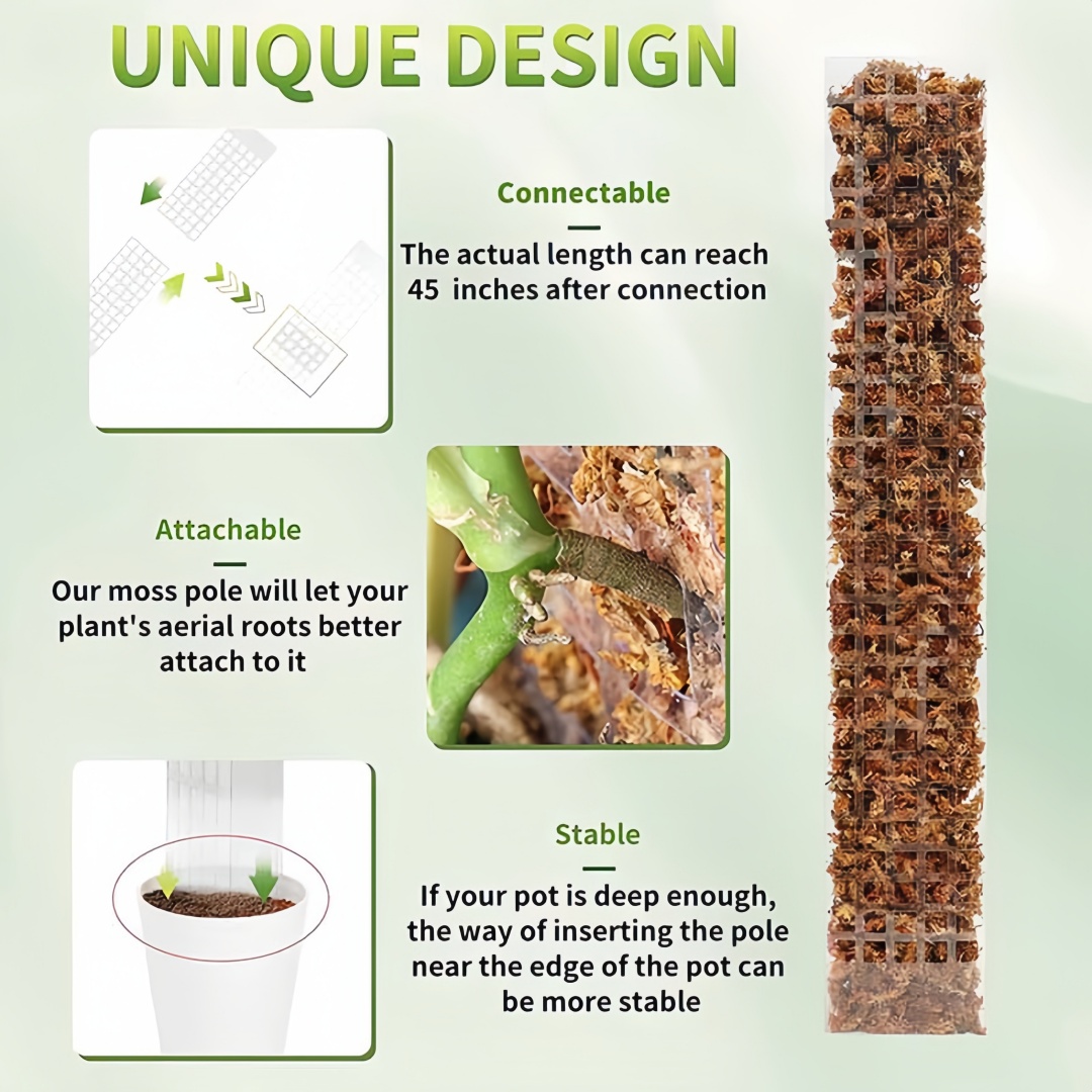苔ポールプラスチック植物スタンド屋内登山植物ガーディアン家庭 - Plant Support Stake のレビューと価格