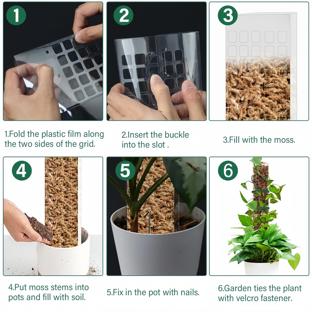 苔ポールプラスチック植物スタンド屋内登山植物ガーディアン家庭 - Plant Support Stake のレビューと価格