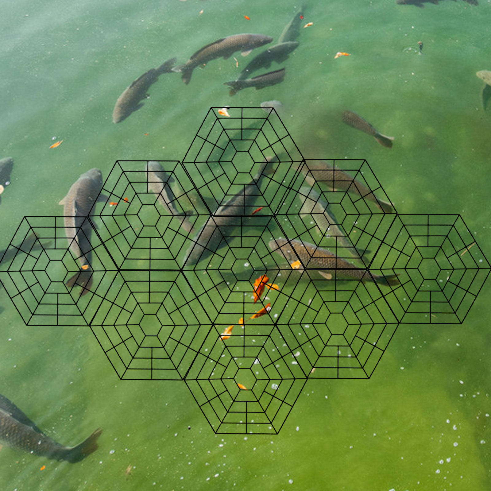 10個入り、耐久性に優れたナイロン製、浮遊式の魚保護カバー。 - Garden Netting Cover のレビューと価格