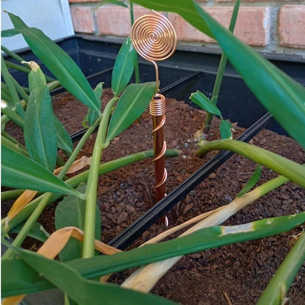 スパイラルコイル電気培養プラントステークス 耐久性のある柔軟 - Plant Support Stake のレビューと価格