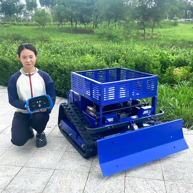 カスタマイズ可能なリモコン芝刈り機（除雪機付き） – 収納ラ - Gardening Tools China のレビューと価格