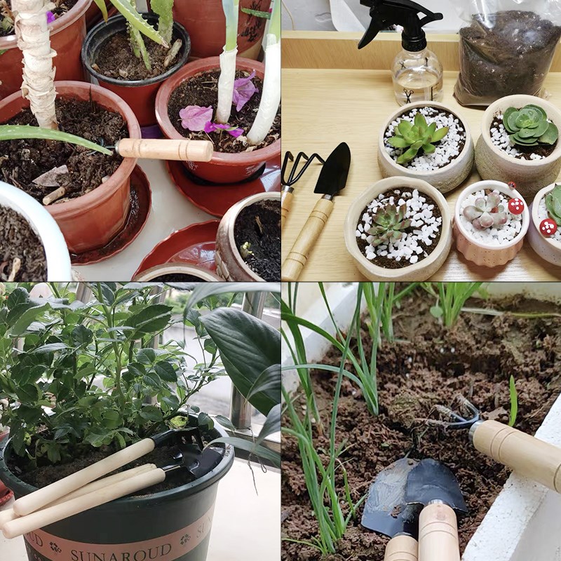 3PC/1 セットミニガーデニングツールセットポータブル小型 - Gardening Tools Shovel のレビューと価格
