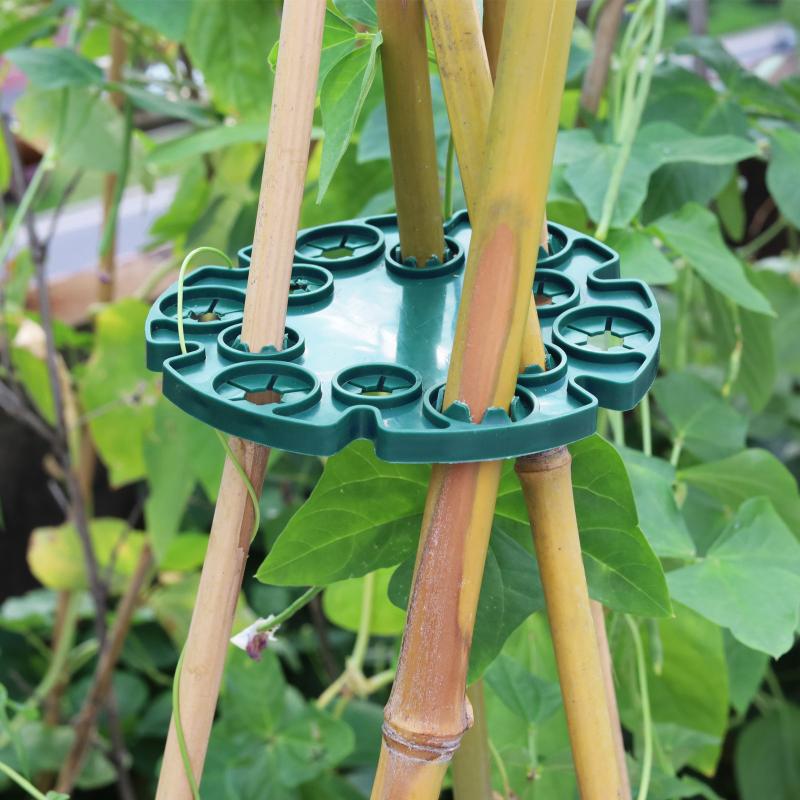 ガーデン トレリス プラスチック製 植物支柱 スイートピー  - Plant Support Stake のレビューと価格