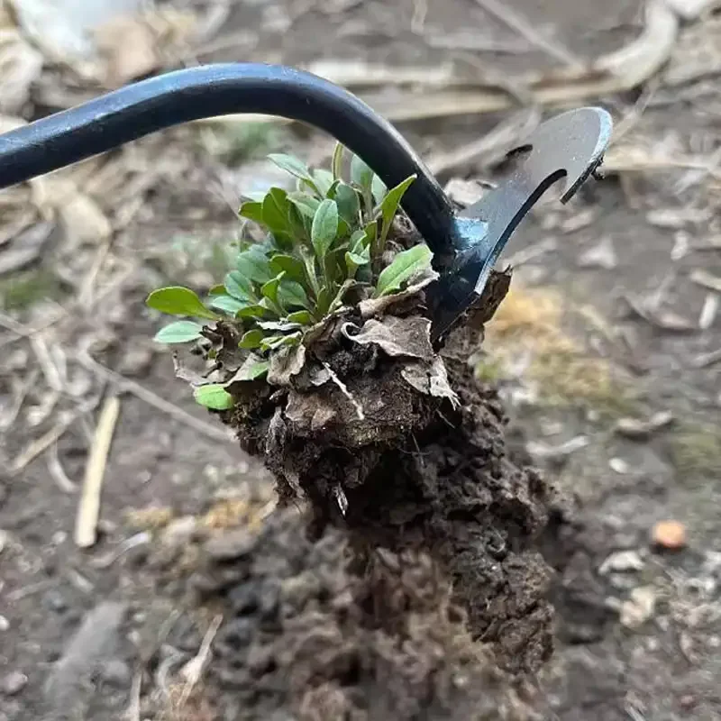 マンガン鋼製ガーデン除草機、草の根をほぐし、土を緩める手動除 - Grass Seed Spreader のレビューと価格