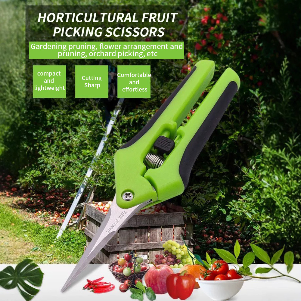 先端が尖った果物摘み取り用ハサミ 1個入り スプリングリセッ - Gardening Tools Uses のレビューと価格