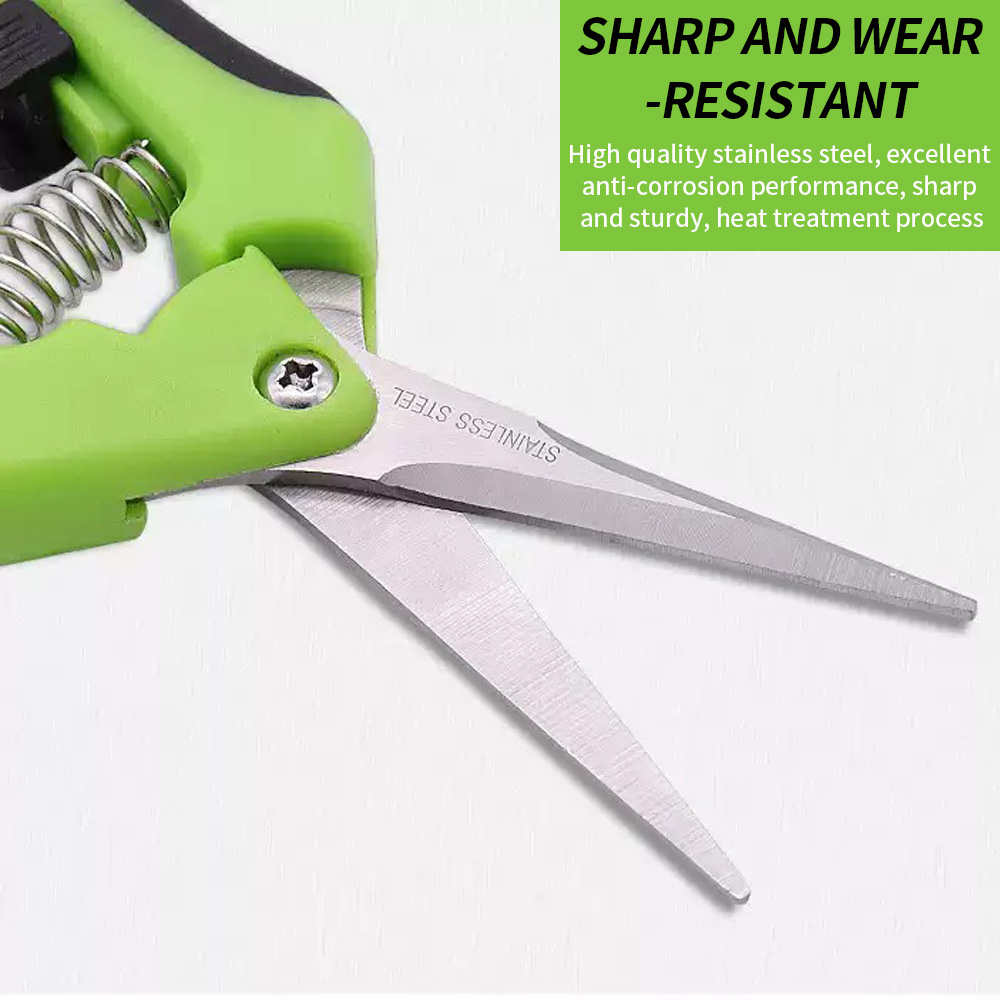 先端が尖った果物摘み取り用ハサミ 1個入り スプリングリセッ - Gardening Tools Uses のレビューと価格
