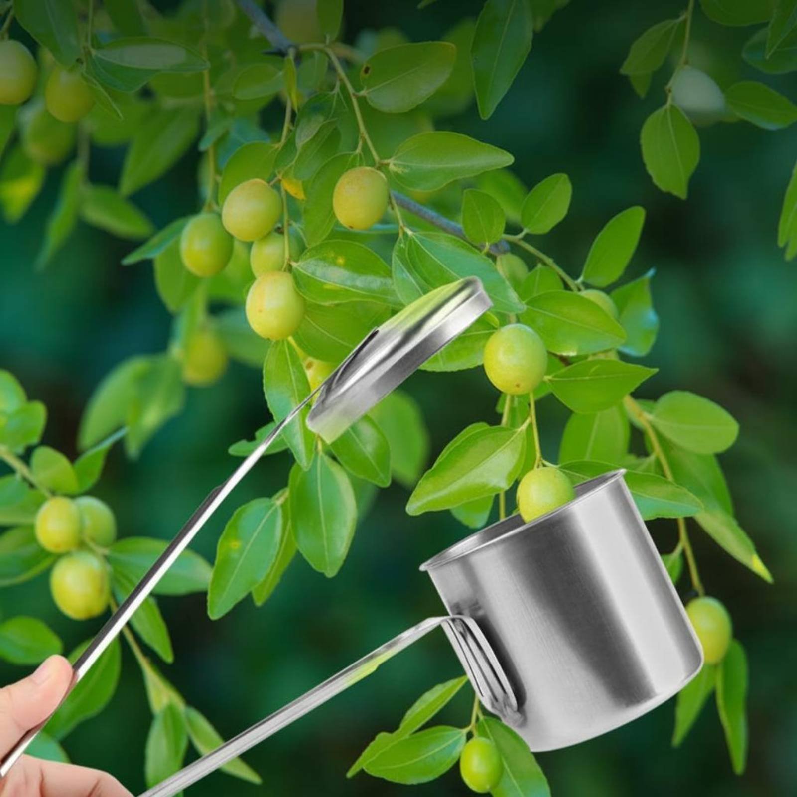 カップフルーツピッカー ステンレス鋼製フルーツピッキングツー - Gardening Tools Uses のレビューと価格