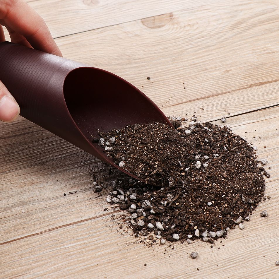 プラスチック製の庭の手入れ用の芝生の形をしたポーチ,植物が付 - Gardening Tools Shovel のレビューと価格